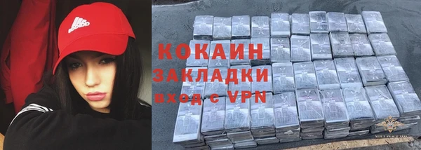 стаф Магас