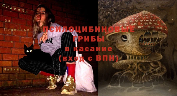дживик Покачи