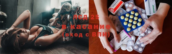 стаф Магас
