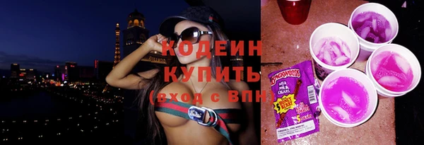 стаф Магас