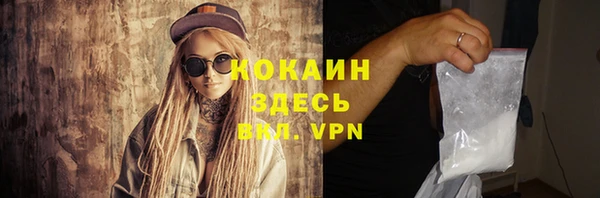 шишки Магадан
