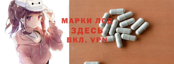 стаф Магас