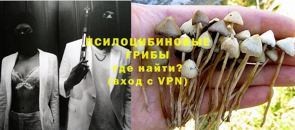 стаф Магас