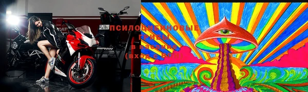 шишки Магадан