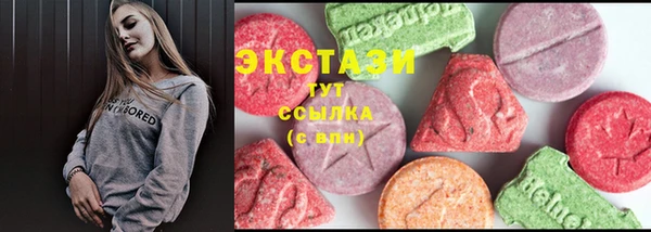 стаф Магас