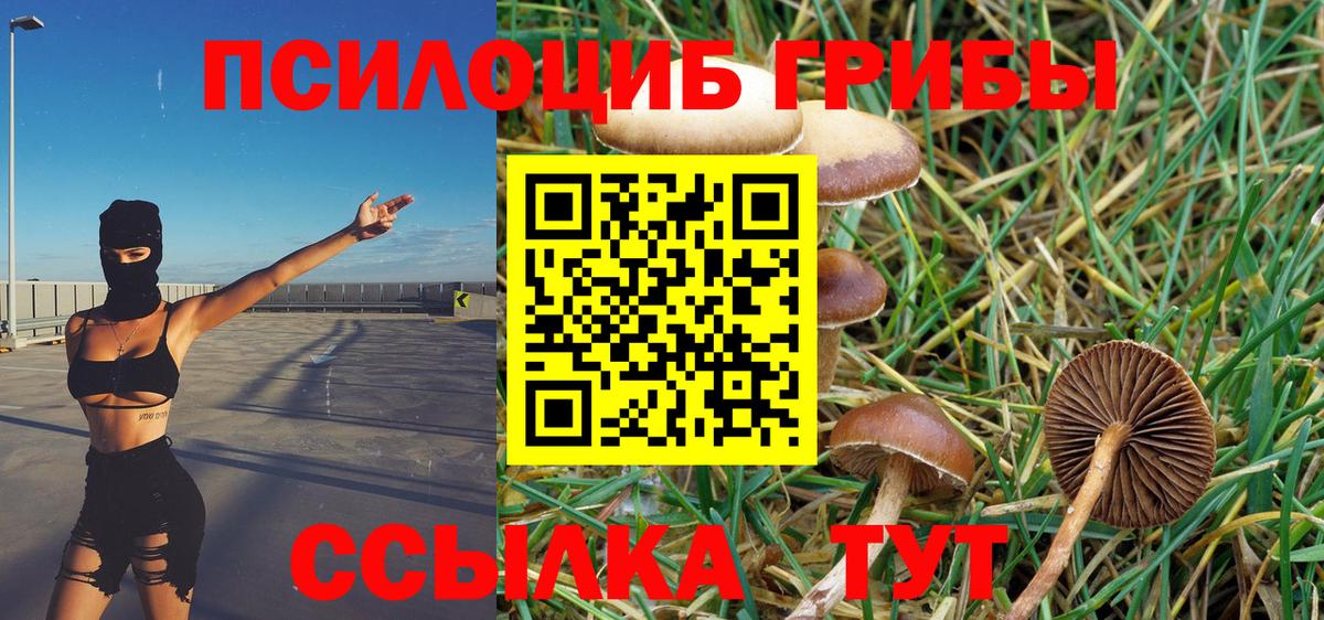 как найти закладки  Владикавказ  Галлюциногенные грибы MAGIC MUSHROOMS 